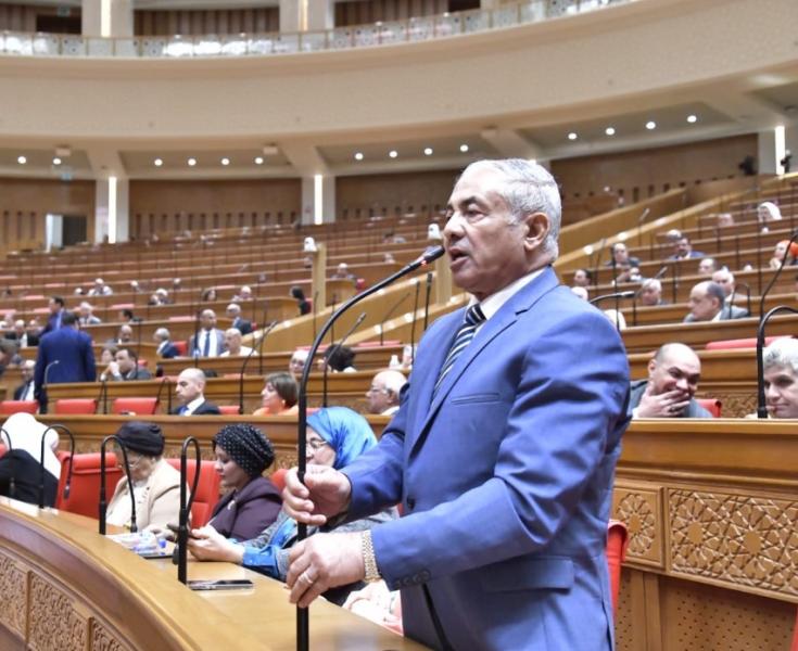 النائب اللواء أحمد العوضي