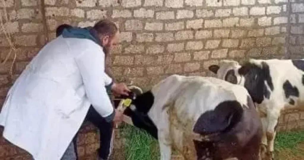 الخدمات البيطرية