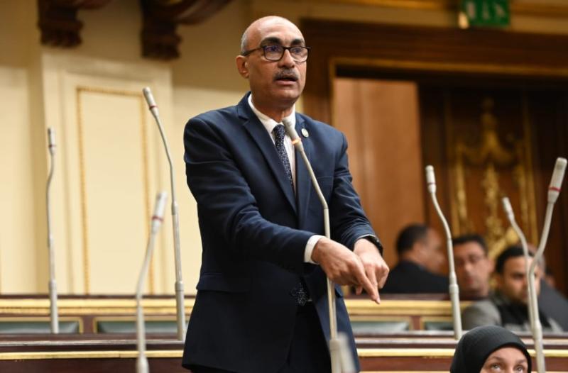 النائب ايهاب منصور