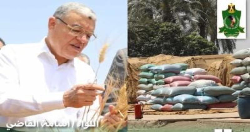 محافظ المنيا 