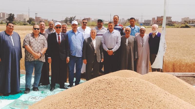  الزراعة تنفذ يوم لحصاد القمح بدمنهور
