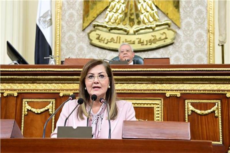 هالة السعيد، وزيرة التخطيط بمجلس النواب 