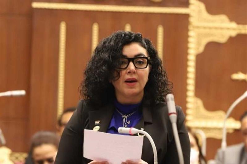 النائبة ريهام عفيفي