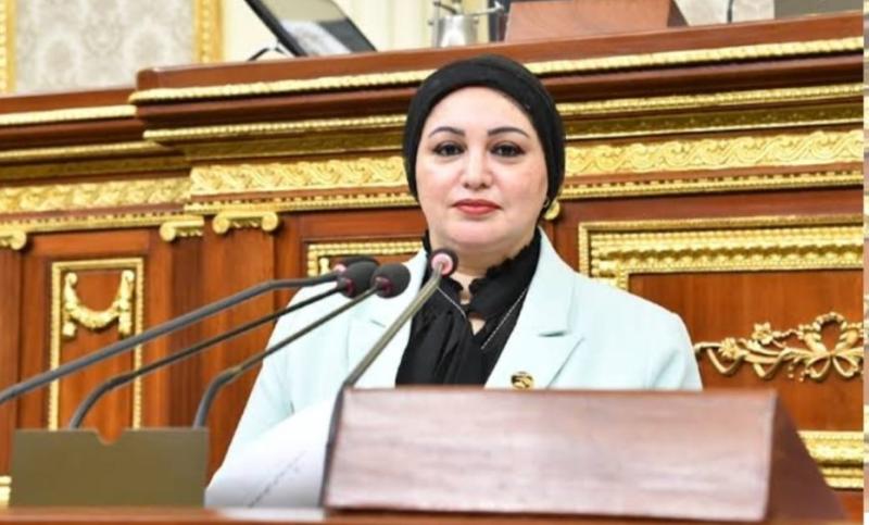 النائبه سولاف درويش 