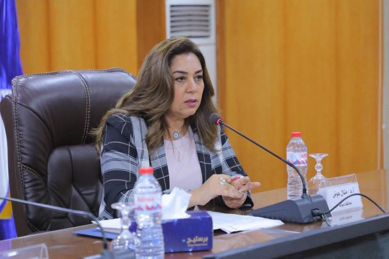 محافظ دمياط 