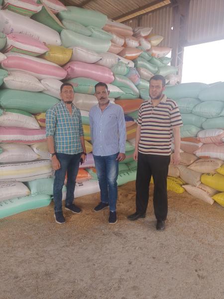 صوامع البحيرة