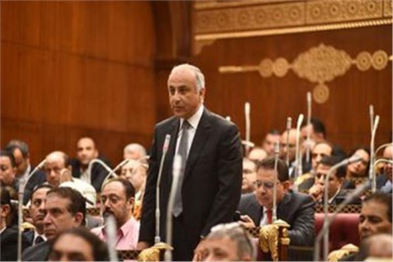 النائب حسام الملاح