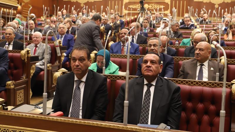 وزير التنمية المحلية أمام الشيوخ