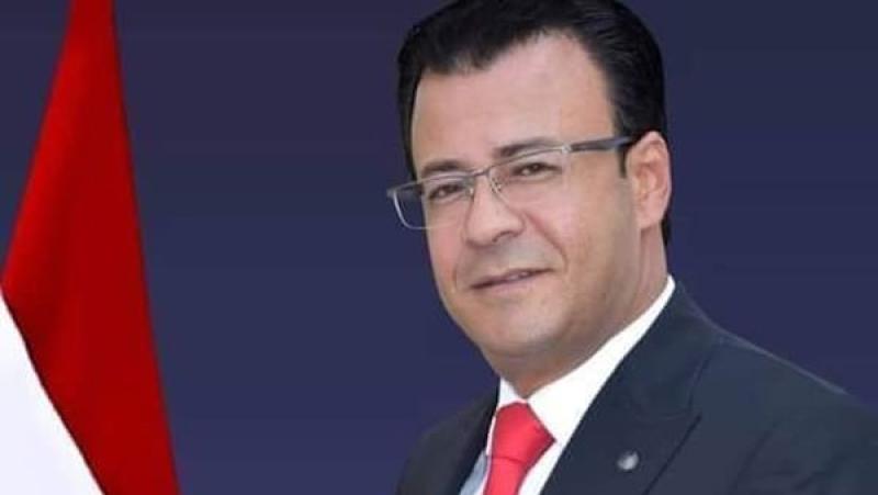 النائب أحمد البرعى