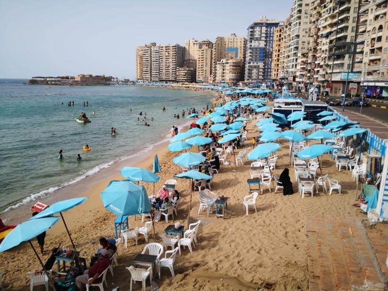 شواطئ الإسكندرية