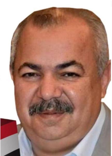 المهندس عمرو ابو السعود 