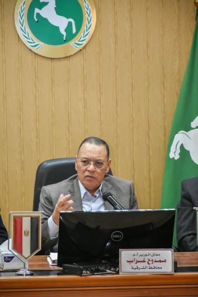 محافظ الشرقية 