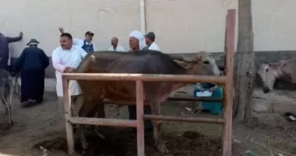 قافلة بيطرية مجانية