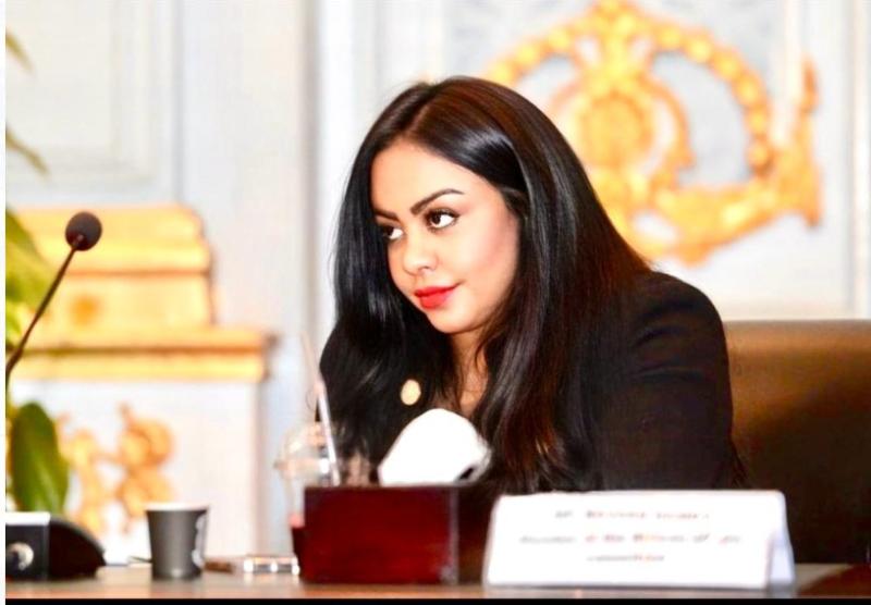 النائبة  نيفين حمدي