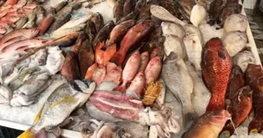 الجمبرى 