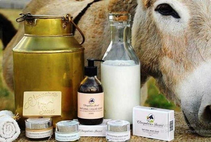 حليب الحمار