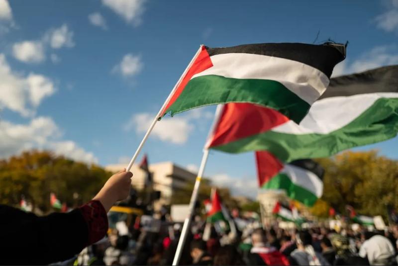 فلسطين 