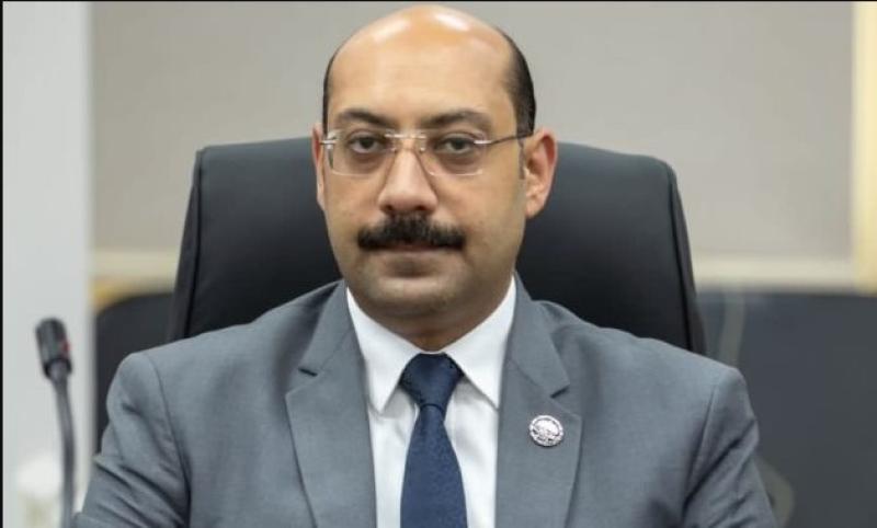 النائب أحمد المصرى