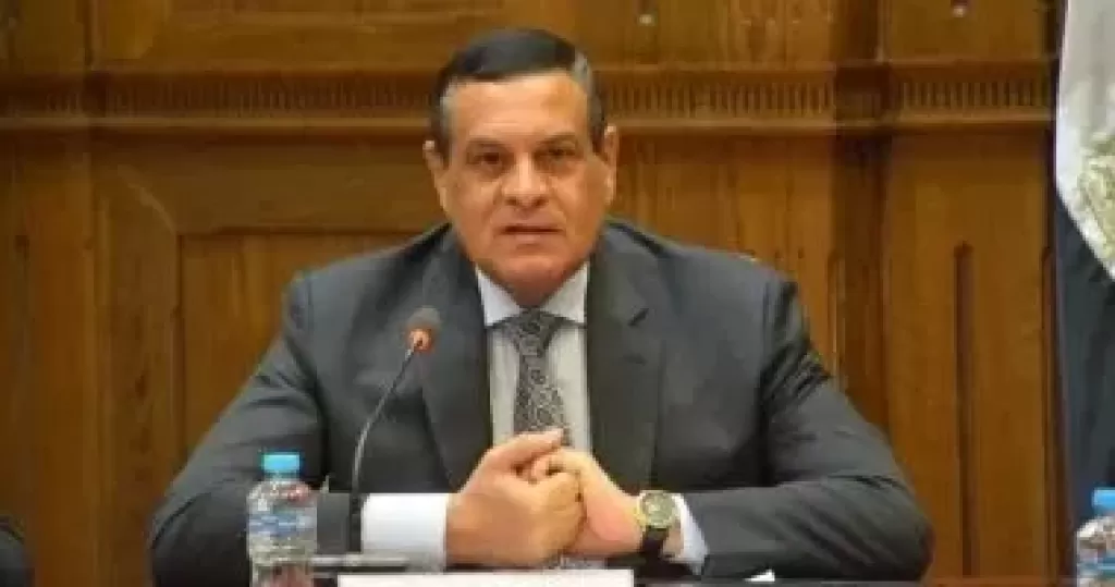 وزير التنمية المحلية 