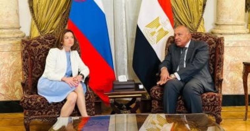 سامح شكرى ووزيرة خارجية سلوفينيا