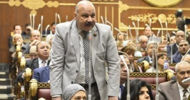 النائب زين الإطناوى