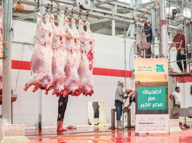 صك الأضحية 