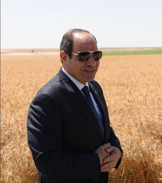 افتتاح الرئيس السيسي المرحلة الأولى من موسم الحصاد
