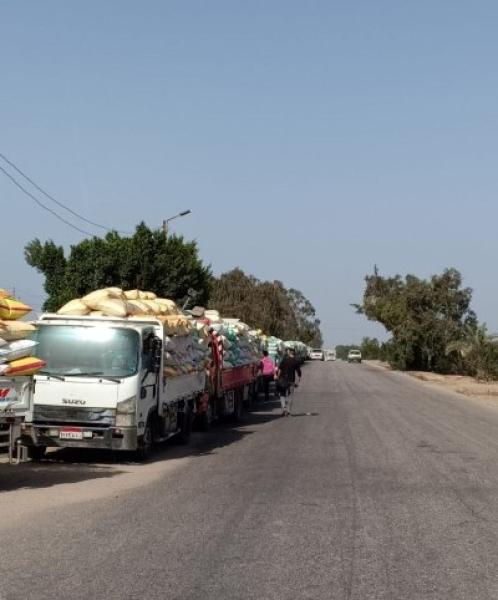جانب من التوريد