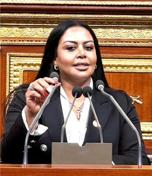 النائبة نيفين حمدي