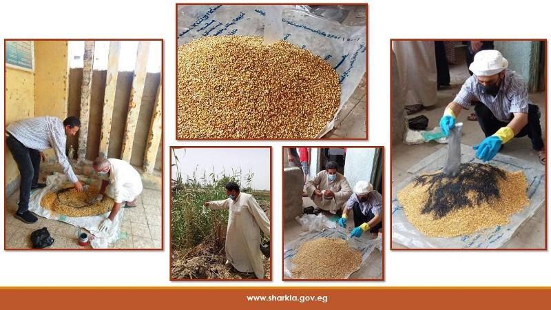 جانب من الحملة 