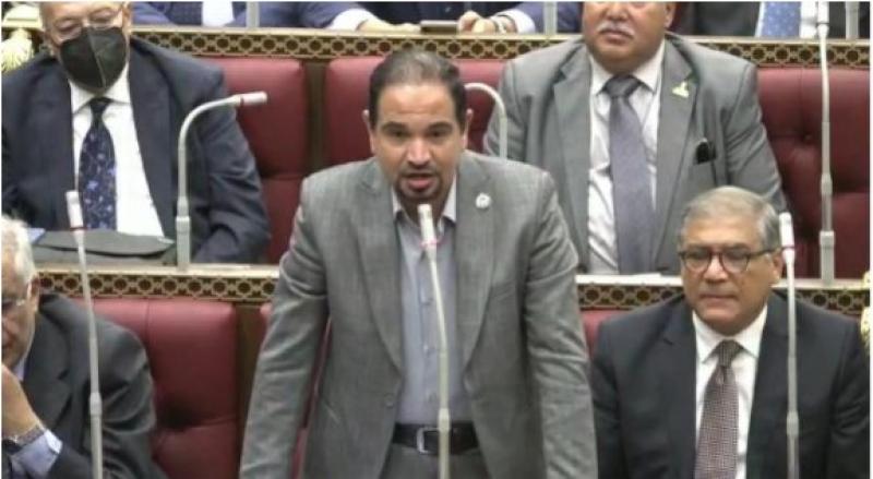 محمد الضبعاوى 