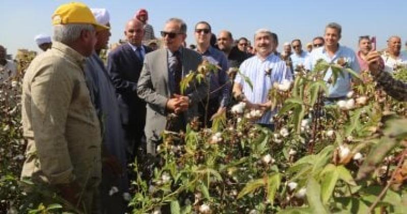 زراعة القطن