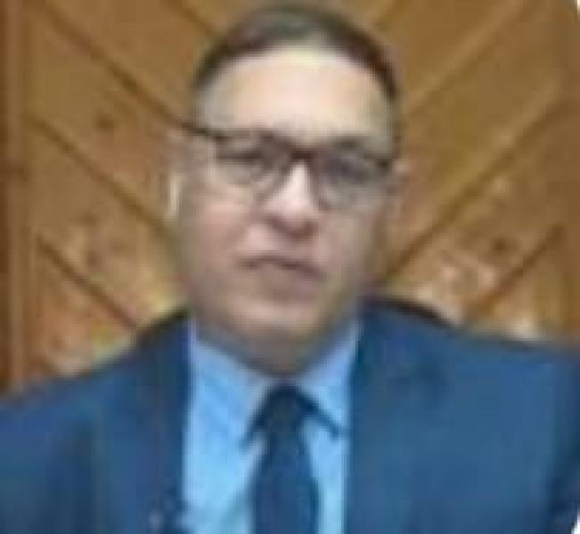 مهندس حمدى شطا 
