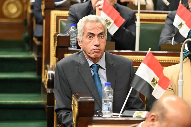 النائب عمرو السنباطي