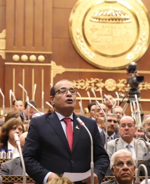 حافظ فاروق