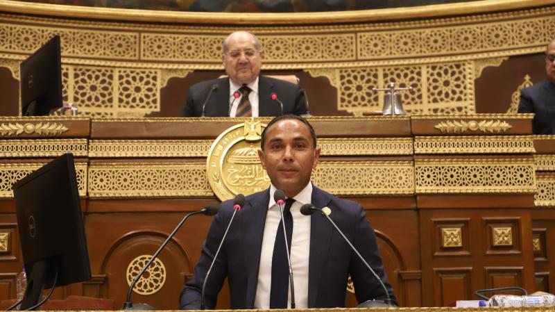 مجلس الشيوخ 
