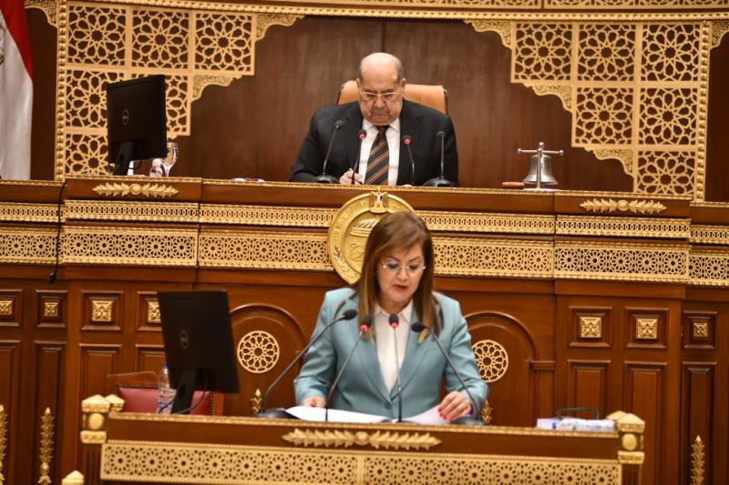 الدكتورة هالة السعيد وزيرة التخطيط