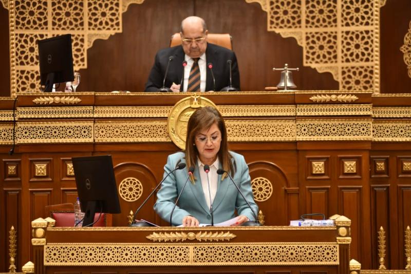 الدكتورة هالة السعيد وزيرة التخطيط