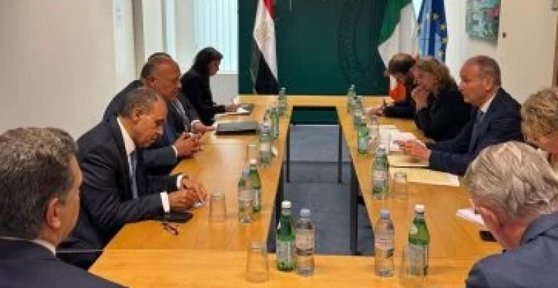 وزير الخارجية مع نظيره الأيرلندي