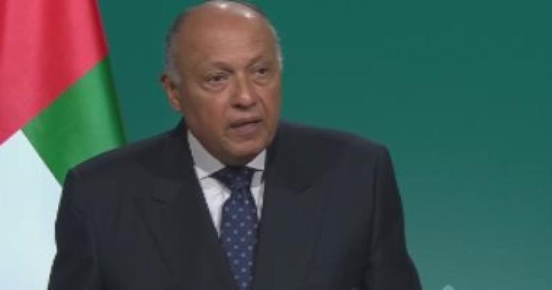 سامح شكرى 