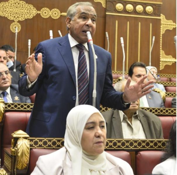 النائب طارق رسلان