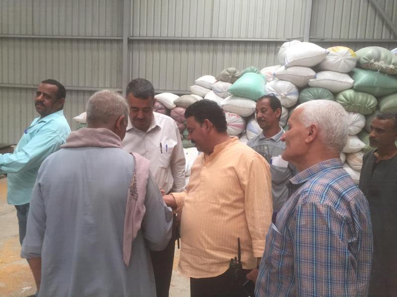 اثناء توريد  القمح