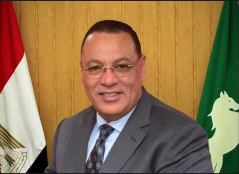محافظ الشرقية