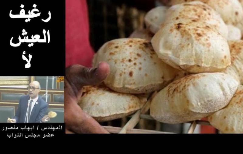 النائب ايهاب منصور