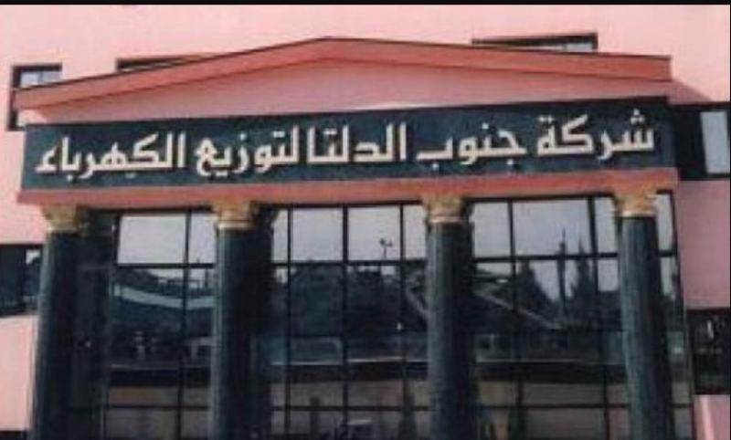 شركة جنوب الدلتا لتوزيع الكهرباء 
