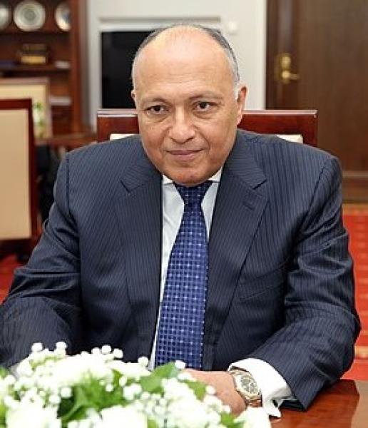سامح شكري وزير الخارجية