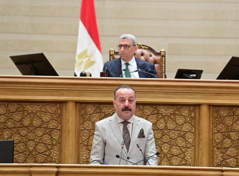 جانب من الجلسة العامة 