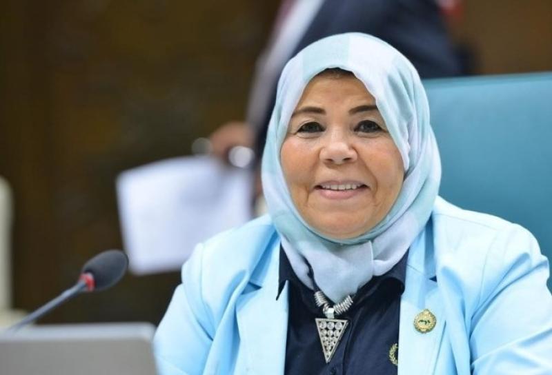 النائبة شادية الجمل