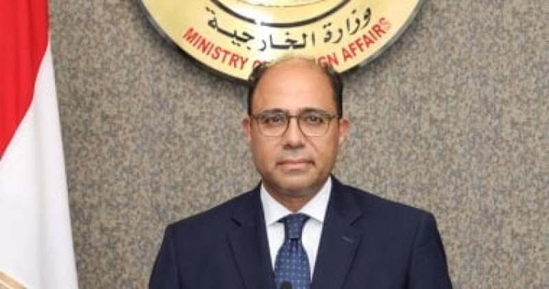 السفير أحمد ابو زيد