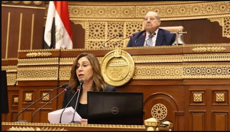 وزيرة الثقافة امام مجلس الشيوخ